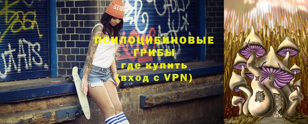 spice Верея