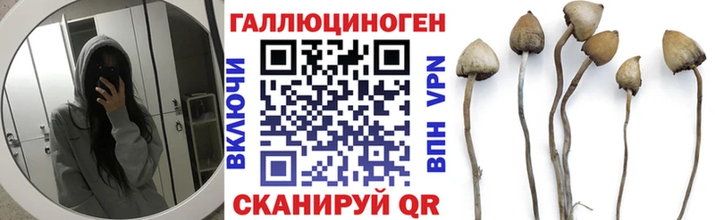 Псилоцибиновые грибы MAGIC MUSHROOMS  продажа наркотиков  Вышний Волочёк 