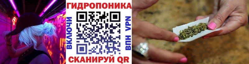 Бошки Шишки VHQ Вышний Волочёк